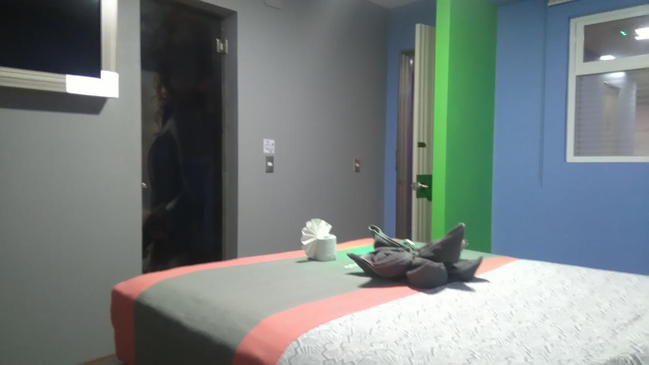 מקסיקו סיטי Hotel H - Eco Adults Only מראה חיצוני תמונה