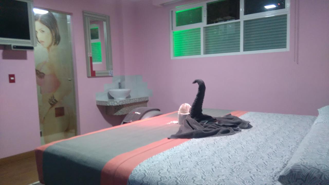 מקסיקו סיטי Hotel H - Eco Adults Only מראה חיצוני תמונה